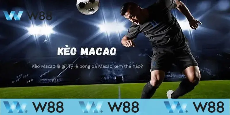 Cách Chơi Kèo Macao Tại W88 Chi Tiết Và Đầy Đủ Nhất 2 Thông tin tìm hiểu về kèo Macao