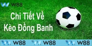 Hướng dẫn cách đọc kèo chấp đồng banh chuẩn
