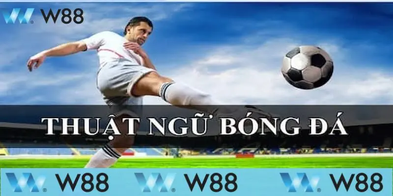 Thuật Ngữ Cá Độ Bóng Đá Được Dùng Nhiều Nhất Tại W88 2 Thuật ngữ cá độ bóng đá được dùng nhiều nhất